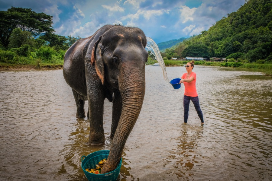 Elephants World Kanchanaburi