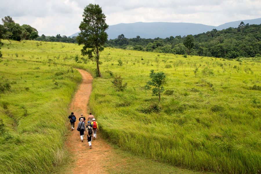 Khao Yai National Park nature trail