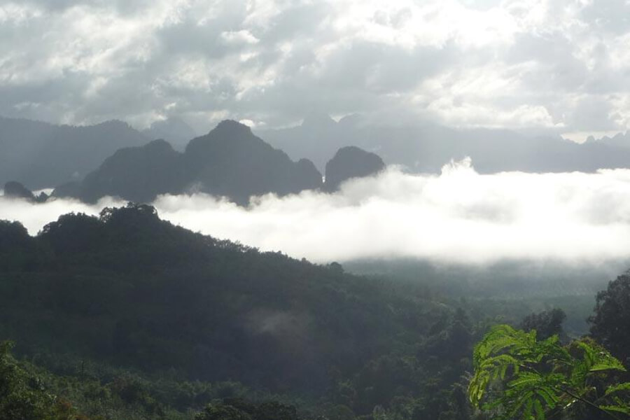 Thailand Hotel Khao Sok Paradise Resort 9 10