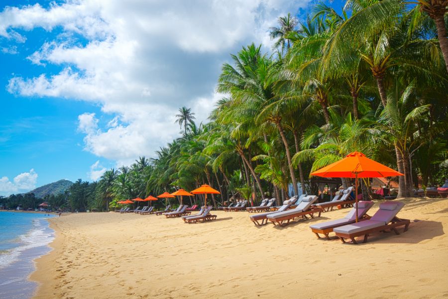 Thailand Koh Samui island tropical beach