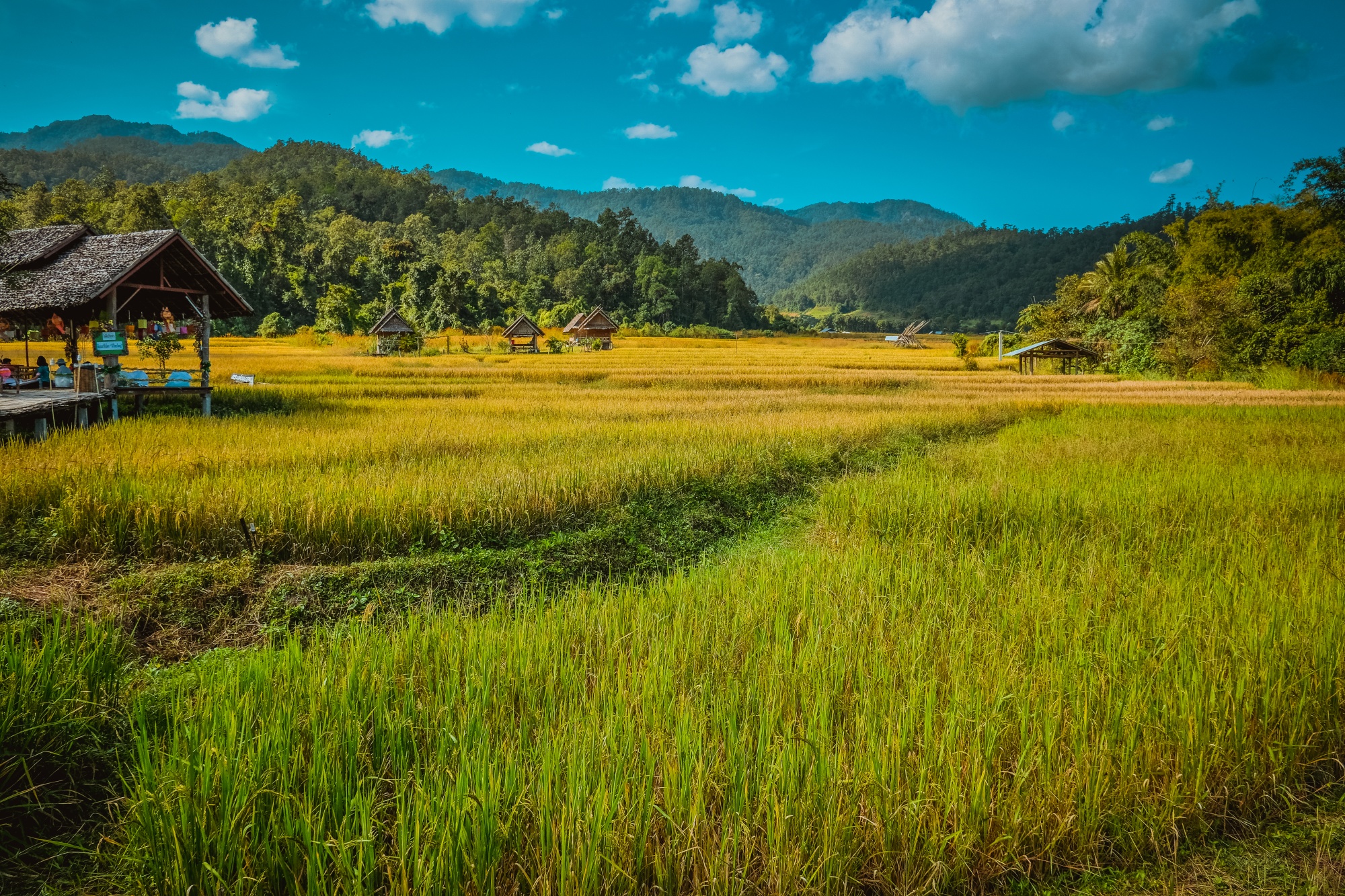 Related blog article Useful tips for a sustainable holiday