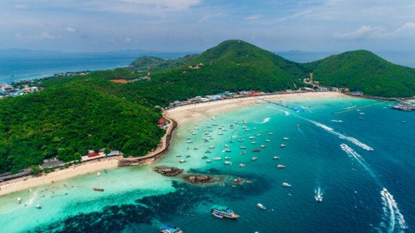 Coral Island & Pattaya