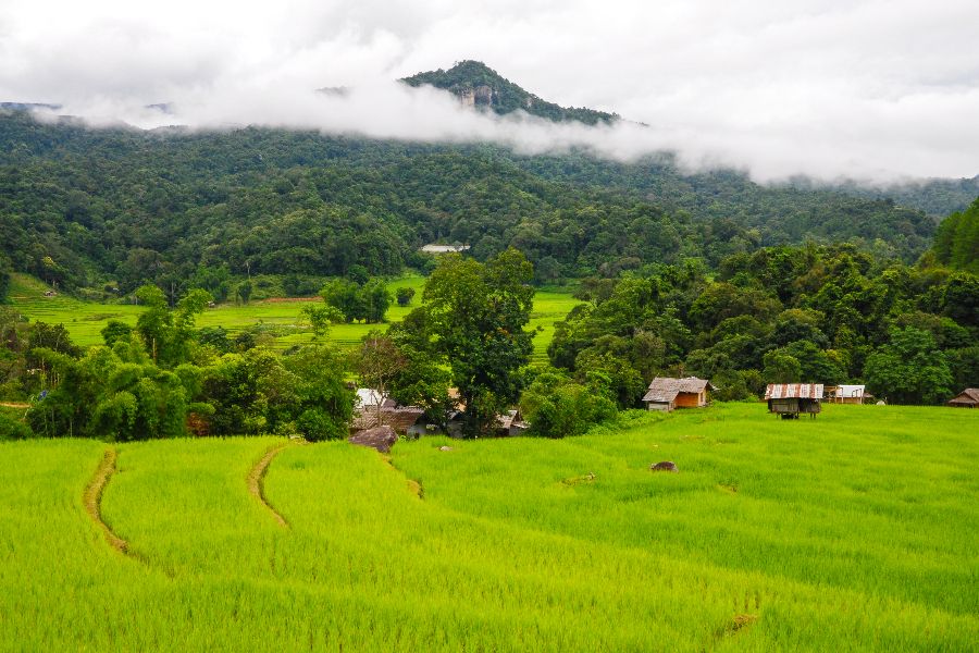 thailand north thailand chiang mai doi inthanon