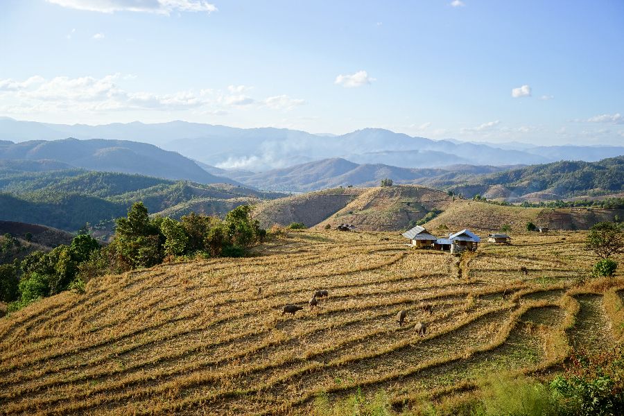 thailand north thailand chiang mai doi inthanon