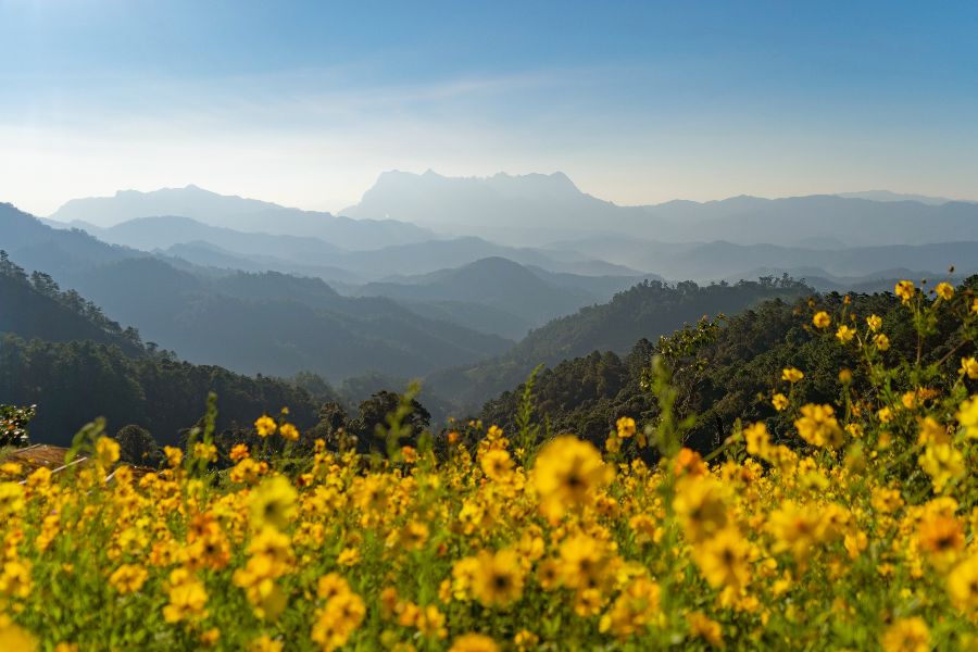 thailand north thailand chiang rai chiang dao